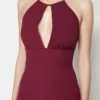Trendyol Collection BRed Dress for Women by Picks for Less